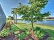 Professionally landscaped backyard with a variety of plants, lush green grass, and a tranquil lake view at 13016 Rinella St, Venice, FL 34293