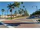 Scenic street view lined with tall palm trees under a bright blue sky at 1555 Tarpon Center Dr # G 235, Venice, FL 34285