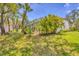 Lush backyard featuring a screened-in lanai, mature palms, and a spacious lawn at 188 Grand Oak Cir, Venice, FL 34292