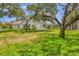 Backyard featuring green grass, mature trees, and an enclosed screened-in patio at 188 Grand Oak Cir, Venice, FL 34292