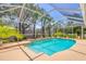 Backyard pool with screened-in enclosure surrounded by landscaping at 188 Grand Oak Cir, Venice, FL 34292