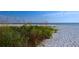 Idyllic beach scene with lush dune grass and the tranquil ocean waters under a clear blue sky at 200 The Esplanade N # C19, Venice, FL 34285