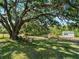 Large, grassy backyard with mature trees and a wooden swing hanging from a tree branch at 2008 55Th E Ave, Bradenton, FL 34203