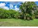 This lush backyard has palm trees and other green tropical foliage and a screened in lanai at 20235 Granlago Dr, Venice, FL 34293