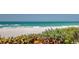 Scenic view of the beach with ocean waves, sand, and vibrant beach flora in the foreground at 1164 Beachcomber Ct # 19, Osprey, FL 34229