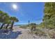 Scenic beach view with palm trees and clear skies, offering relaxation and tranquility by the ocean at 120 Hourglass Dr, Venice, FL 34293