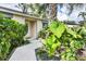 Charming front entrance with a concrete walkway, lush landscaping, and a well-maintained exterior at 2445 Apache St, Sarasota, FL 34231