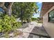 Long driveway lined with mature trees, enhancing the property's curb appeal with shade and greenery at 2555 Yucca Rd, Venice, FL 34293