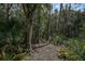 Backyard featuring a mulch path, trees, and bushes at 3199 Elkrem Ave, North Port, FL 34286
