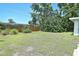 Spacious backyard with green lawn, mature trees, wood fence, and a clear blue sky, perfect for outdoor activities at 3340 Webber St, Sarasota, FL 34239