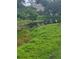 Scenic view of a pond surrounded by lush vegetation, offering a tranquil setting at 482 Pendleton Pl, Venice, FL 34292