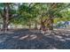 Picturesque park with mature trees providing ample shade and comfortable benches for relaxation at 9917 Haze Dr, Venice, FL 34292