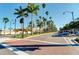 Charming street view lined with towering palm trees, creating a tropical atmosphere at 9917 Haze Dr, Venice, FL 34292