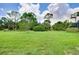 Large grassy backyard perfect for outdoor activities, with mature trees surrounding the perimeter at 11560 Tapestry Ln, Venice, FL 34293