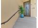 Inviting condo entrance with decorative door, steps, and blue planter with greenery at 12590 Ghiberti Cir # 201, Venice, FL 34293