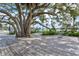 Scenic outdoor space with a large tree, wooden deck, and lake views at 13913 Alafaya St, Venice, FL 34293