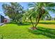 A lush green lawn with palm trees and manicured landscaping in the backyard of this home at 4114 Murfield E Dr, Bradenton, FL 34203