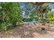 Secluded backyard showcases mature trees, lush landscaping, and a private screened pool area at 5369 Shadow Lawn Dr, Sarasota, FL 34242