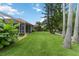 Well-maintained backyard with lush green lawn, tropical plants, and a tiled roof at 6619 Pinefeather Ct, Bradenton, FL 34203