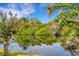 Calm pond reflecting lush vegetation beneath a clear blue sky at 1100 Capri Isles Blvd # 215, Venice, FL 34292