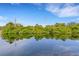 Beautiful reflection of foliage, power lines, and blue sky on the surface of a pristine pond at 1100 Capri Isles Blvd # 215, Venice, FL 34292