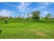 Lush green backyard featuring a rolling hill with scattered trees and landscaping at 11739 Okaloosa Dr, Venice, FL 34293