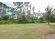 Lush green backyard with mature trees and landscaping, creating a serene and private outdoor space at 12187 Amica Loop, Venice, FL 34293