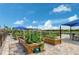 Community garden featuring raised garden beds, lush plants, a table, and a view of the lake at 13841 Campoleone St, Venice, FL 34293