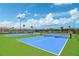Two community pickleball courts are fenced and include nets and landscaping at 13841 Campoleone St, Venice, FL 34293