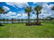 Lush backyard with manicured lawn, tropical palm trees, and serene lake view in a residential neighborhood at 19269 Serafina St, Venice, FL 34293