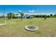 Spacious backyard with mature palm trees and green grass at 20430 Edgewater Dr, Port Charlotte, FL 33952