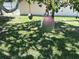 Close-up of mango tree in backyard, providing natural shade and seasonal fruit at 232 Fiesole St, Venice, FL 34285