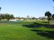 Expansive golf course featuring manicured greens, palm trees, and serene pond at 437 Cerromar Ln # 513, Venice, FL 34293