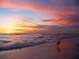 Calm sunset view at the beach showcasing colorful sky and serene shoreline with a bird at 5832 Semolino St, Nokomis, FL 34275