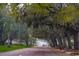 Tree lined street with Spanish moss hanging from the trees and a car driving down the road at 5832 Semolino St, Nokomis, FL 34275