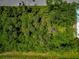 Aerial view of the landscape featuring lush, dense trees and greenery on a sunny day at 6964 Glacier Ave, North Port, FL 34291