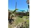 Lush backyard featuring a mature palm tree and a shade covering perfect for relaxing at 700 Forest St, Nokomis, FL 34275