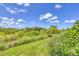 Lush green backyard with vibrant flowers, offering a serene and private outdoor space at 8245 Grande Shores Dr, Sarasota, FL 34240