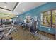 Community gym with state-of-the-art fitness equipment, a mirror wall, and natural light at 935 Tidewater Shores # 721, Bradenton, FL 34208