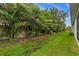 A lush backyard featuring a privacy fence surrounded by beautiful trees and manicured landscaping at 121 Colebrook Ct, Venice, FL 34292