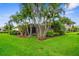 Beautifully landscaped backyard with lush green grass and mature palm trees surrounding the property at 2396 Caraway Dr, Venice, FL 34292