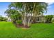 Lush green backyard showcasing the manicured lawn and landscaping surrounding the home at 2396 Caraway Dr, Venice, FL 34292