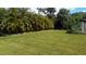 Expansive grassy backyard bordered by palm trees at 18245 Ackerman Ave, Port Charlotte, FL 33948