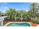 Lush tropical backyard featuring a sparkling pool, palm trees, and a poolside bar area at 334 7Th N Ave, Tierra Verde, FL 33715