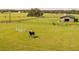 Horseback riding in a spacious equestrian training area at 37600 Largo Ln, Dade City, FL 33523