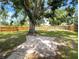Huge backyard with mature trees and a privacy fence all around the home at 4011 Mesa Ave, Sarasota, FL 34233