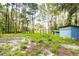 Wooded backyard with two sheds and a partially cleared area at 34392 Broken Stone St, Webster, FL 33597