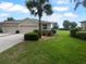 Charming single-story home featuring a well-manicured lawn and a mature palm tree at 33083 Windelstraw Dr, Wesley Chapel, FL 33545