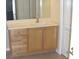 Bathroom featuring neutral tones, a white sink, and wooden cabinets with combination door and drawer storage at 11774 Tempest Harbor Loop, Venice, FL 34292