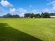 Large grassy backyard with a clear view at 8882 Christie Dr, Largo, FL 33771
